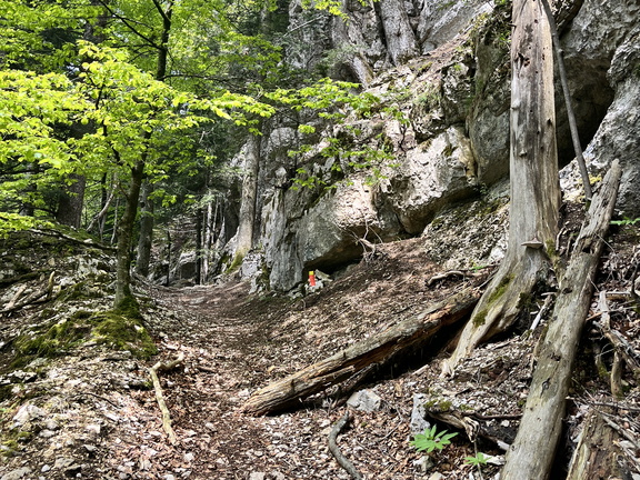 23-05-20 13-03-47 5496